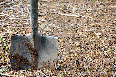 shovel-dirt-13241054